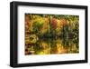 Colorful Foliage Reflection in a Tranquil Lake-George Oze-Framed Photographic Print