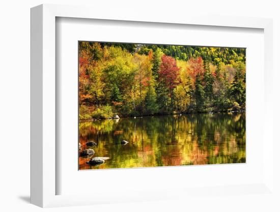 Colorful Foliage Reflection in a Tranquil Lake-George Oze-Framed Photographic Print