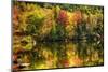 Colorful Foliage Reflection in a Tranquil Lake-George Oze-Mounted Photographic Print