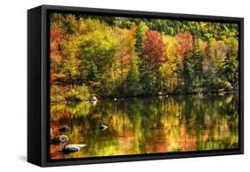 Colorful Foliage Reflection in a Tranquil Lake-George Oze-Framed Stretched Canvas