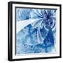 Colorful Fractal Flower Pattern-fbatista72-Framed Art Print