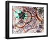 Colorful Fractal Flower White Background-fbatista72-Framed Art Print