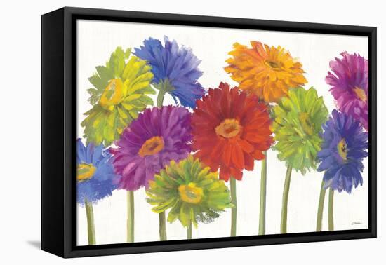 Colorful Gerbera Daisies-Carol Rowan-Framed Stretched Canvas