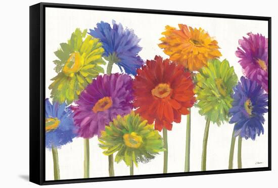 Colorful Gerbera Daisies-Carol Rowan-Framed Stretched Canvas