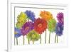 Colorful Gerbera Daisies-Carol Rowan-Framed Premium Giclee Print