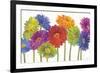 Colorful Gerbera Daisies-Carol Rowan-Framed Premium Giclee Print