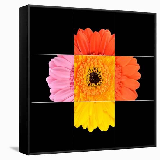 Colorful Gerbera Marigold Flower Mosaic Design-tr3gi-Framed Stretched Canvas