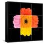 Colorful Gerbera Marigold Flower Mosaic Design-tr3gi-Framed Stretched Canvas