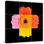 Colorful Gerbera Marigold Flower Mosaic Design-tr3gi-Stretched Canvas