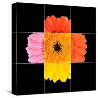 Colorful Gerbera Marigold Flower Mosaic Design-tr3gi-Stretched Canvas