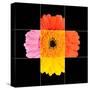 Colorful Gerbera Marigold Flower Mosaic Design-tr3gi-Stretched Canvas