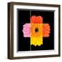 Colorful Gerbera Marigold Flower Mosaic Design-tr3gi-Framed Art Print