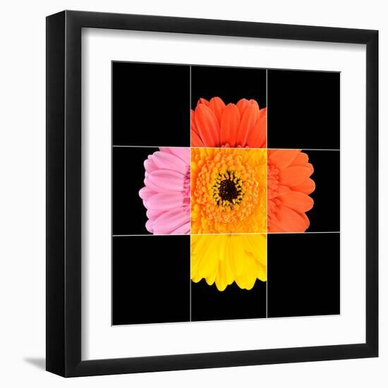 Colorful Gerbera Marigold Flower Mosaic Design-tr3gi-Framed Art Print