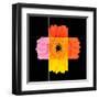 Colorful Gerbera Marigold Flower Mosaic Design-tr3gi-Framed Art Print