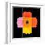 Colorful Gerbera Marigold Flower Mosaic Design-tr3gi-Framed Art Print