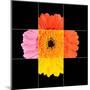 Colorful Gerbera Marigold Flower Mosaic Design-tr3gi-Mounted Art Print