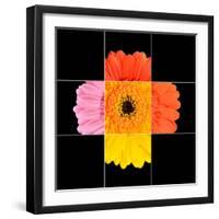 Colorful Gerbera Marigold Flower Mosaic Design-tr3gi-Framed Art Print