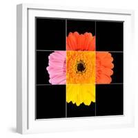 Colorful Gerbera Marigold Flower Mosaic Design-tr3gi-Framed Art Print