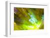 Colorful glass with blurred motion effect.-Stuart Westmorland-Framed Photographic Print