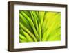 Colorful glass with blurred motion effect.-Stuart Westmorland-Framed Photographic Print