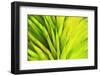 Colorful glass with blurred motion effect.-Stuart Westmorland-Framed Photographic Print