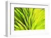 Colorful glass with blurred motion effect.-Stuart Westmorland-Framed Photographic Print