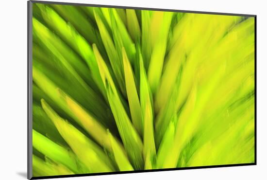 Colorful glass with blurred motion effect.-Stuart Westmorland-Mounted Photographic Print