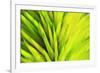 Colorful glass with blurred motion effect.-Stuart Westmorland-Framed Premium Photographic Print