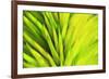 Colorful glass with blurred motion effect.-Stuart Westmorland-Framed Premium Photographic Print