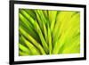 Colorful glass with blurred motion effect.-Stuart Westmorland-Framed Premium Photographic Print