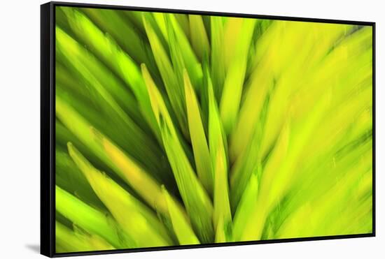 Colorful glass with blurred motion effect.-Stuart Westmorland-Framed Stretched Canvas