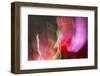 Colorful glass with blurred motion effect.-Stuart Westmorland-Framed Photographic Print