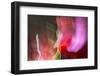 Colorful glass with blurred motion effect.-Stuart Westmorland-Framed Photographic Print