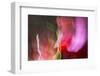 Colorful glass with blurred motion effect.-Stuart Westmorland-Framed Photographic Print