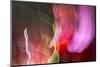 Colorful glass with blurred motion effect.-Stuart Westmorland-Mounted Photographic Print