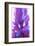 Colorful glass with blurred motion effect.-Stuart Westmorland-Framed Photographic Print