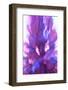 Colorful glass with blurred motion effect.-Stuart Westmorland-Framed Photographic Print