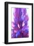 Colorful glass with blurred motion effect.-Stuart Westmorland-Framed Photographic Print