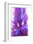 Colorful glass with blurred motion effect.-Stuart Westmorland-Framed Photographic Print