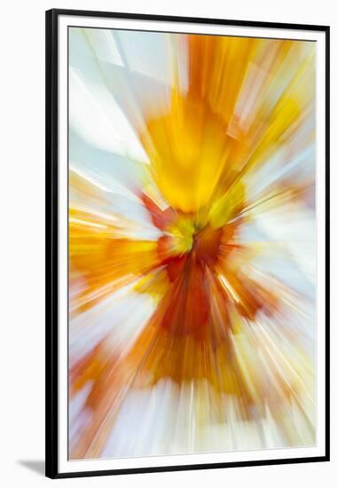 Colorful glass with blurred motion effect.-Stuart Westmorland-Framed Premium Photographic Print