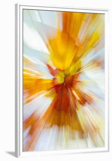 Colorful glass with blurred motion effect.-Stuart Westmorland-Framed Premium Photographic Print