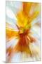 Colorful glass with blurred motion effect.-Stuart Westmorland-Mounted Premium Photographic Print