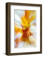 Colorful glass with blurred motion effect.-Stuart Westmorland-Framed Photographic Print