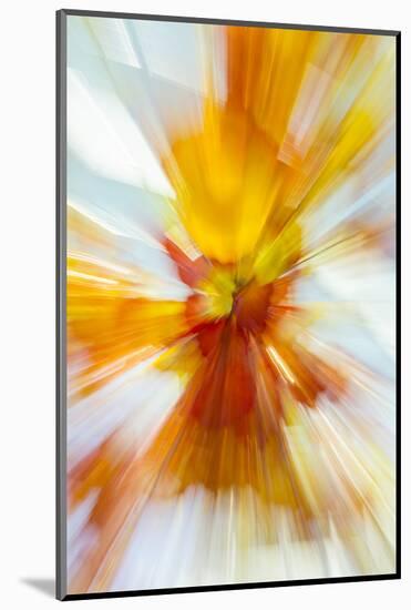 Colorful glass with blurred motion effect.-Stuart Westmorland-Mounted Photographic Print