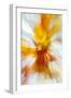 Colorful glass with blurred motion effect.-Stuart Westmorland-Framed Photographic Print