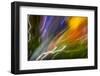 Colorful glass with blurred motion effect.-Stuart Westmorland-Framed Photographic Print