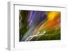 Colorful glass with blurred motion effect.-Stuart Westmorland-Framed Photographic Print