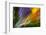 Colorful glass with blurred motion effect.-Stuart Westmorland-Framed Photographic Print