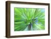 Colorful glass with blurred motion effect.-Stuart Westmorland-Framed Photographic Print