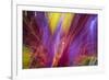 Colorful glass with blurred motion effect.-Stuart Westmorland-Framed Photographic Print